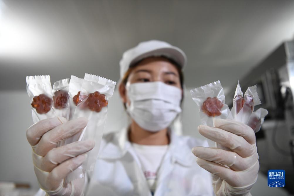 彩金白菜群